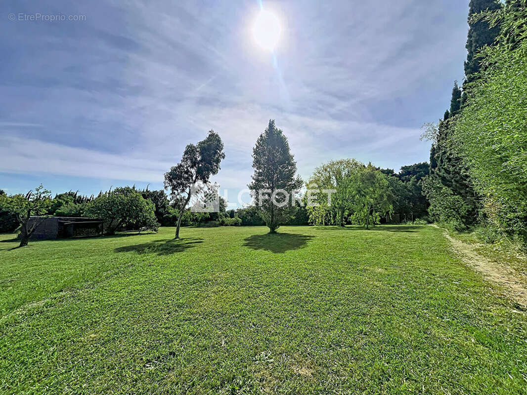 Terrain Thuir - photo 2