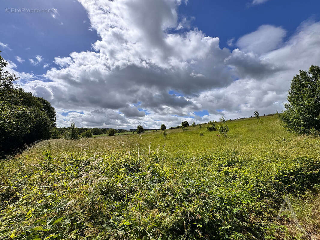 Chaussoy-epagny - plus de 2,4 hectares de nature - photo 2