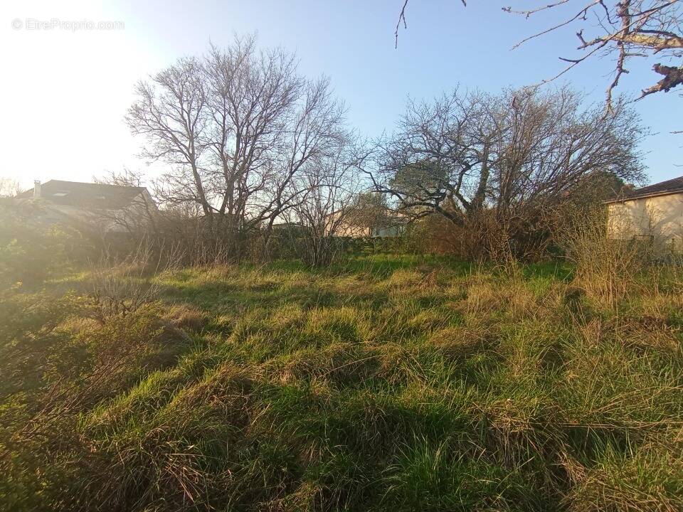 Terrain à RUELLE-SUR-TOUVRE