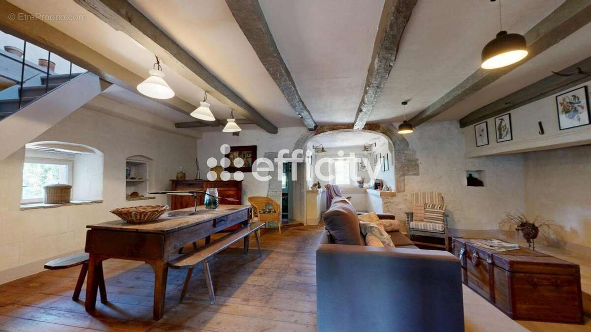 Maison 378 m² à Montet-Et-Bouxal  - photo 7