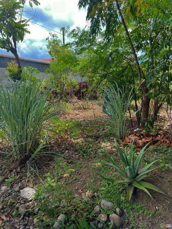 Maison à SAINT-ANDRE