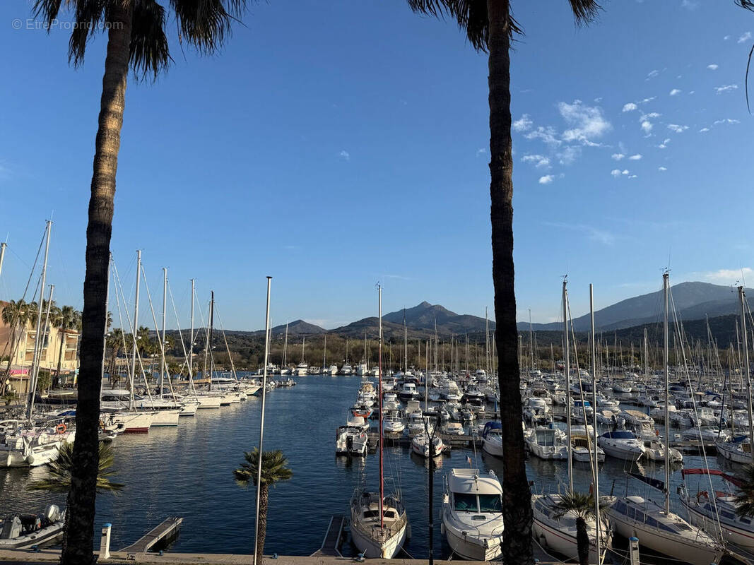 Photo 1 - Appartement à ARGELES-SUR-MER