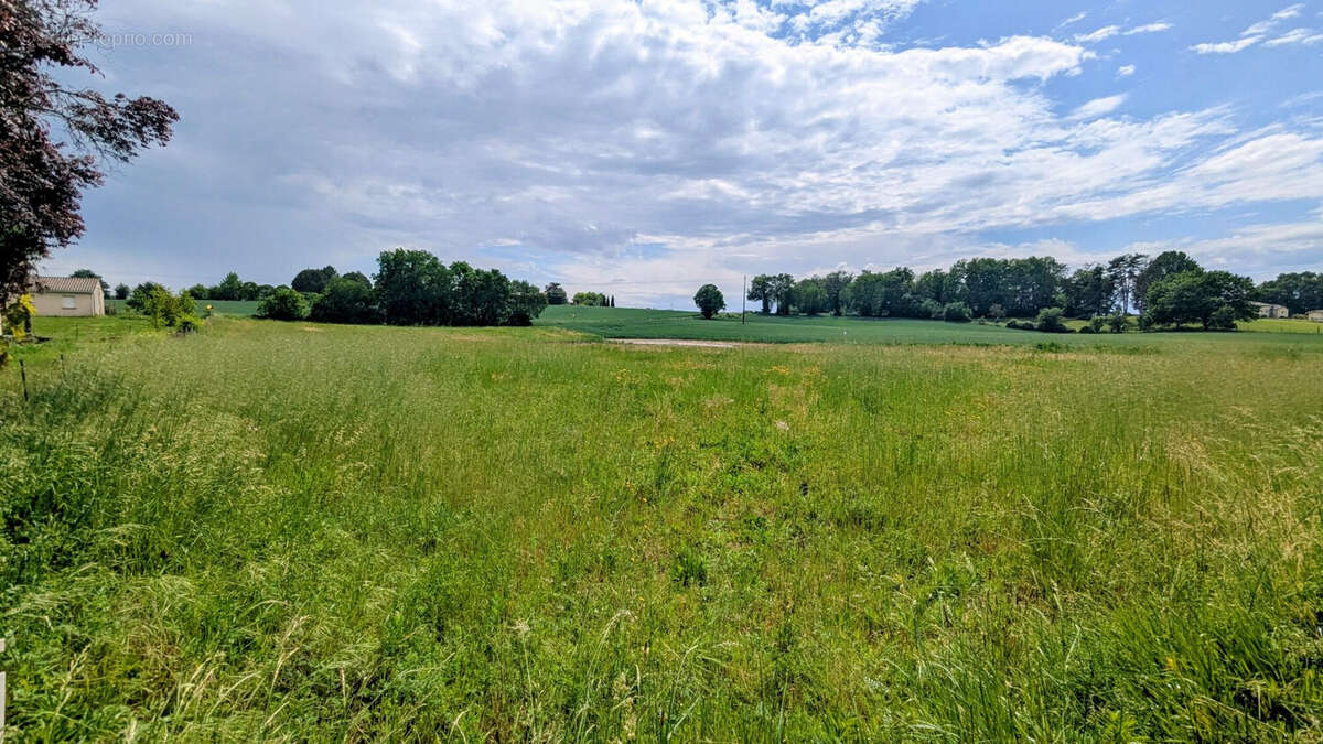 Terrain à BON-ENCONTRE