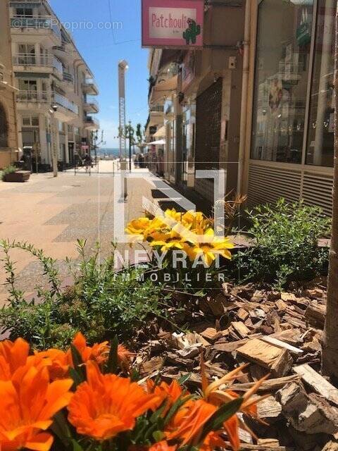 Commerce à SAINT-RAPHAEL