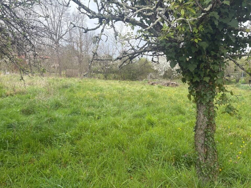 Terrain à BESSIERES