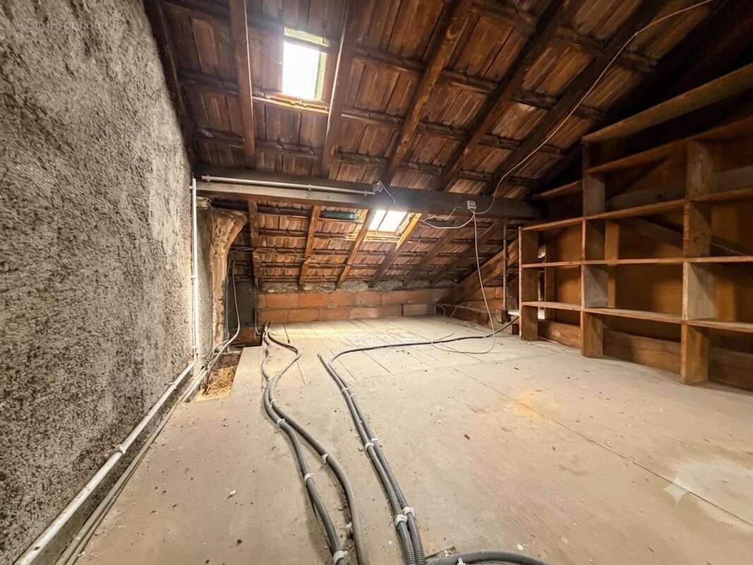 Cagnes-sur-mer - propriété de 2 maisons - terrain plat de 2 400 m² - photo 35