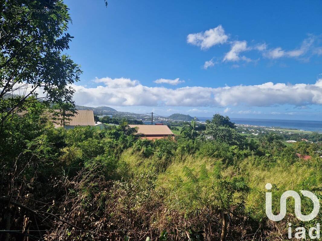 Photo 1 - Terrain à SAINT-JOSEPH