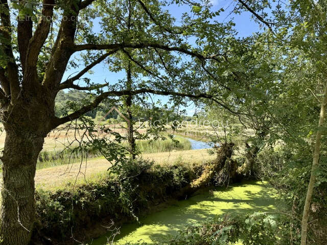 Terrain de 4575 m 2 avec un plan d'eau proche des commerces - photo 2