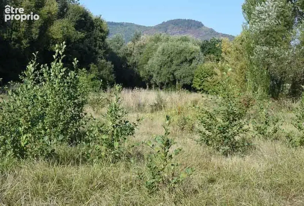 st maximin - terrain agricole - possibilité eau - Zone NC 