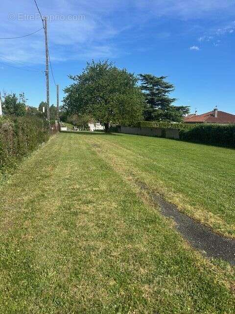 IMG4022 - Terrain à NIORT