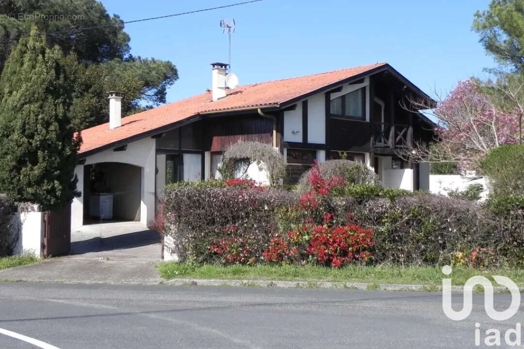 Photo 3 - Maison à SAINT-VINCENT-DE-TYROSSE