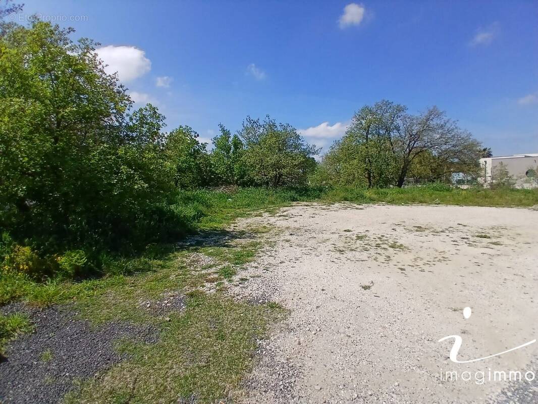 Terrain à SAINT-FELIU-D'AVALL