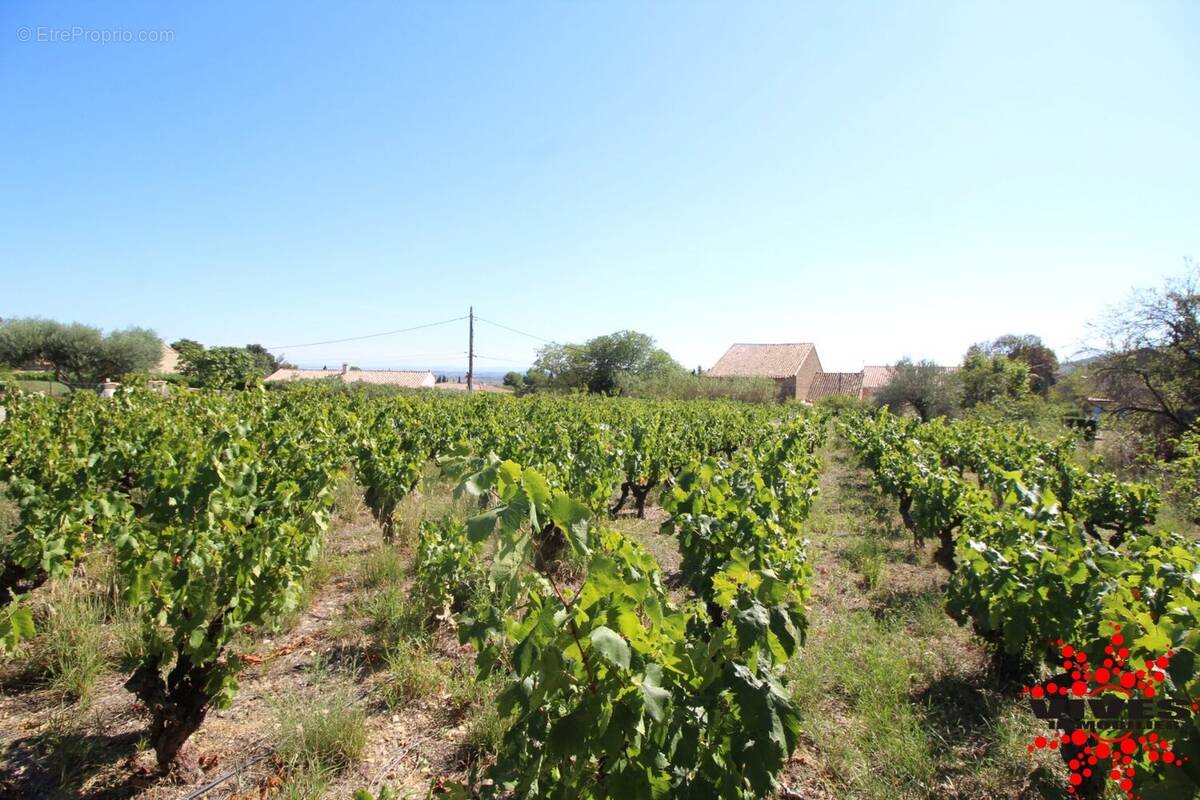 Terrain à MONTOULIERS