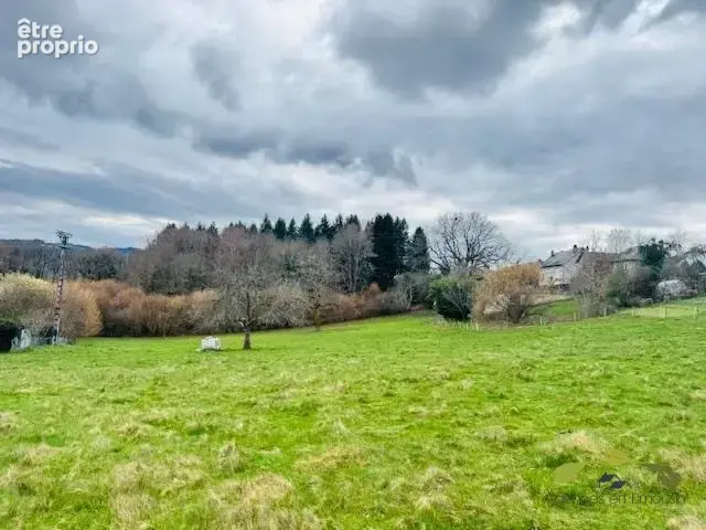 Terrain 4 954 m² à vendre à Treignac (19260) - photo 2