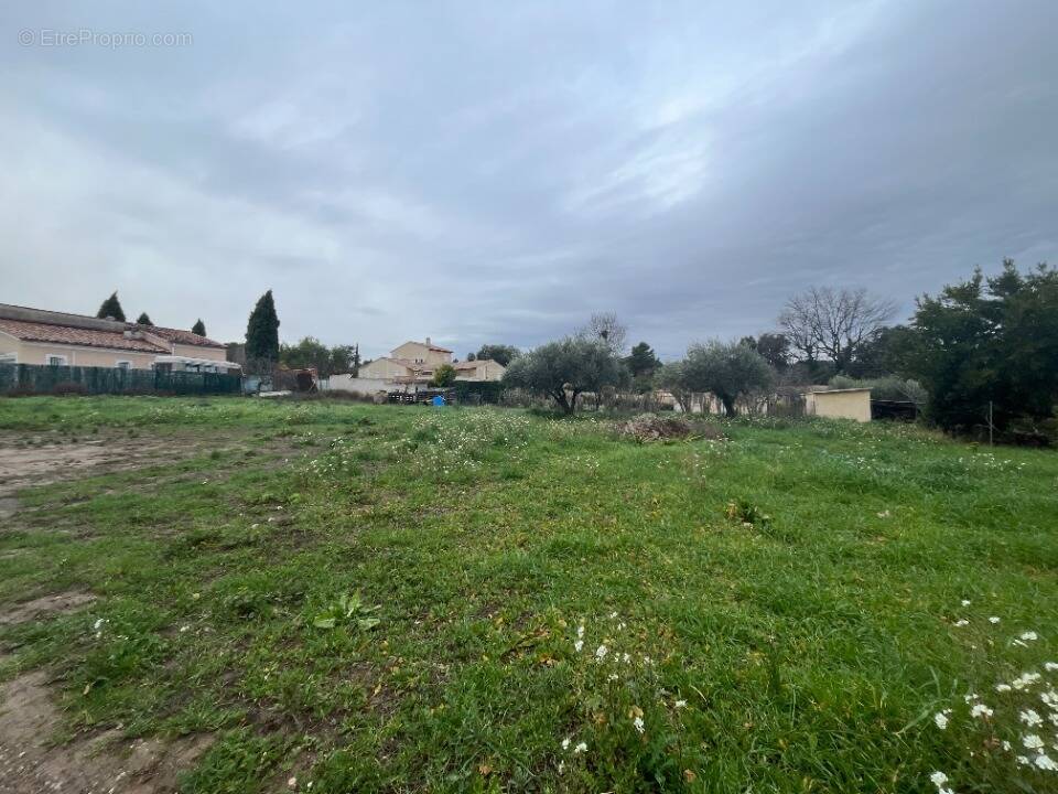 Terrain à LA MOTTE