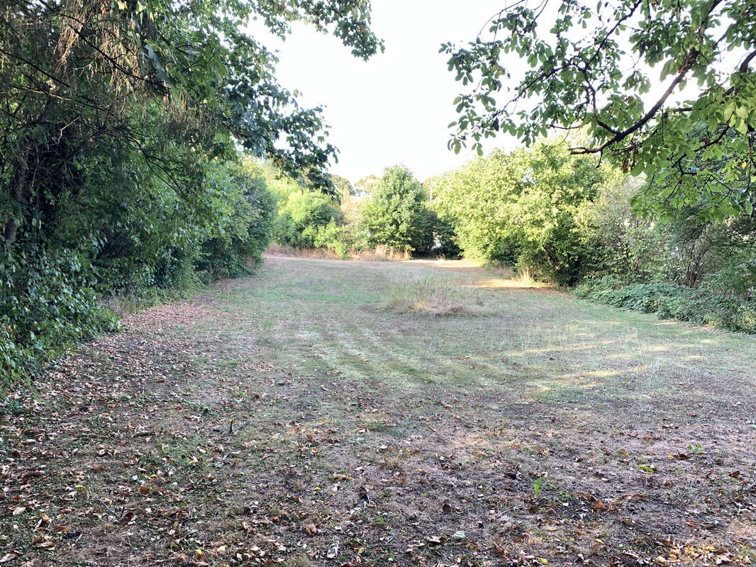 Terrain à SARREGUEMINES