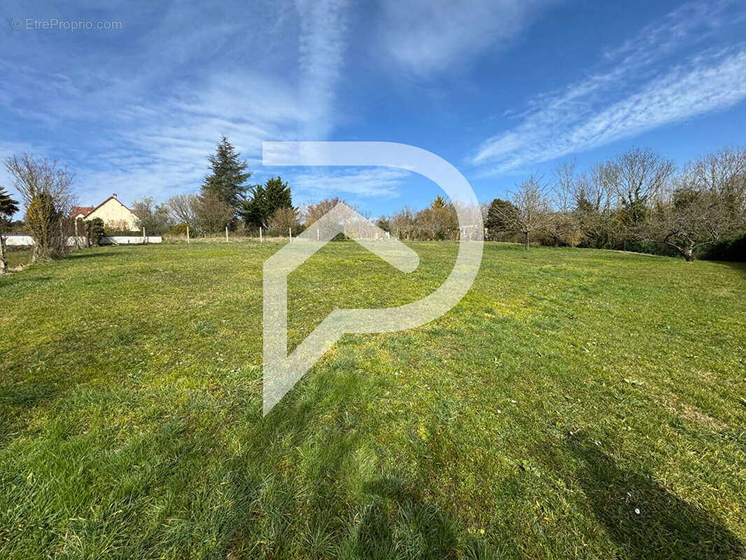 Terrain à BENNECOURT