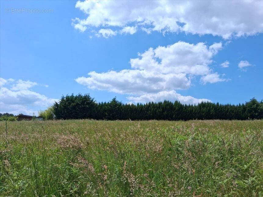 Terrain à SAINT-JULIEN-DE-CREMPSE