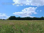 Terrain à SAINT-JULIEN-DE-CREMPSE