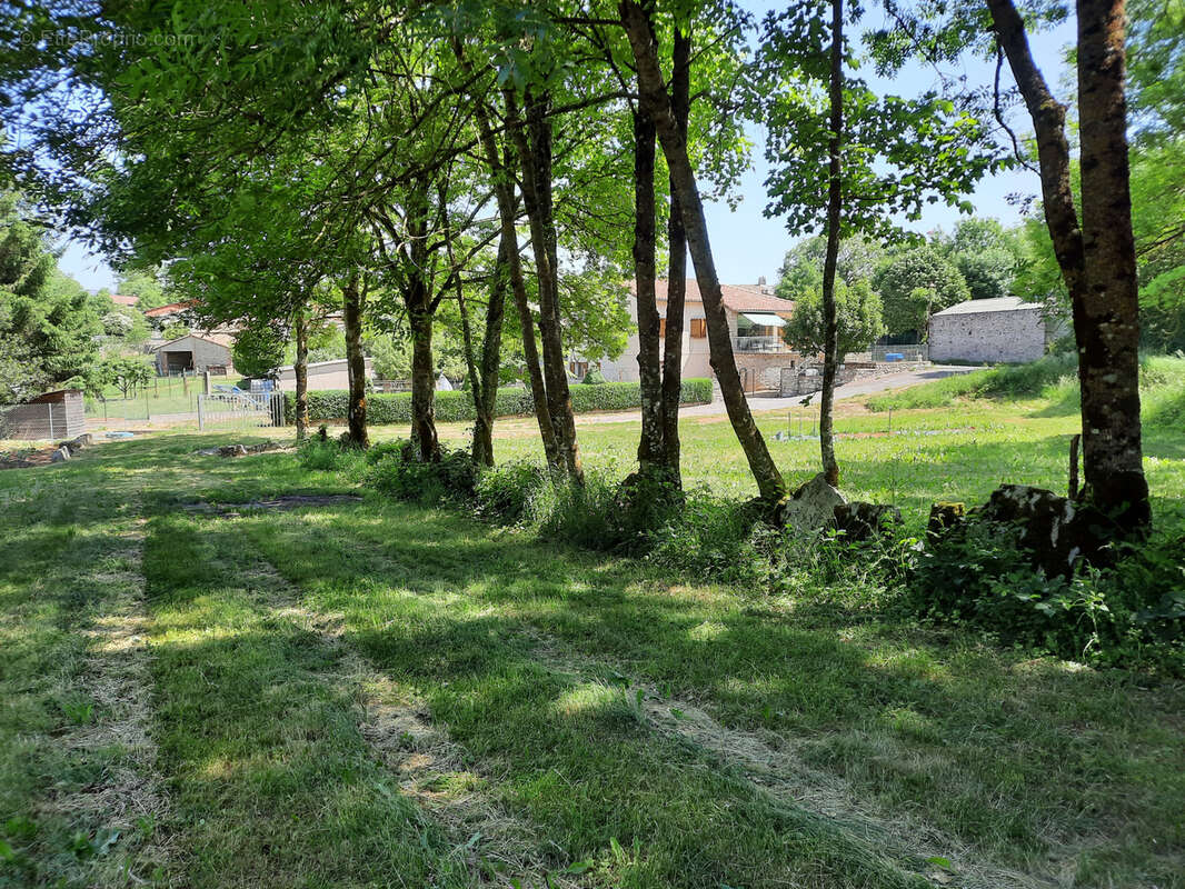 Terrain à VIALA-DU-PAS-DE-JAUX