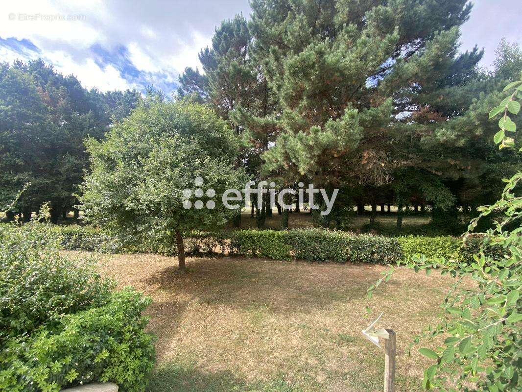 Appartement à SAINT-ANDRE-DES-EAUX