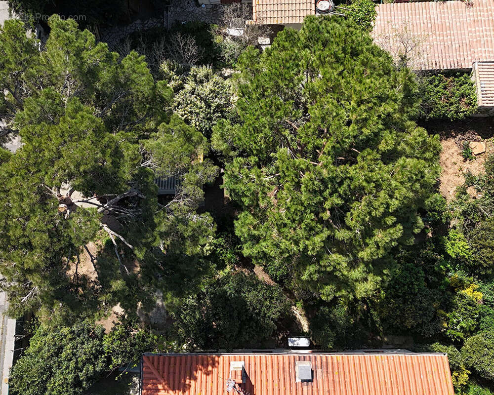 Terrain viabilisé Sète 330 m² - photo 4