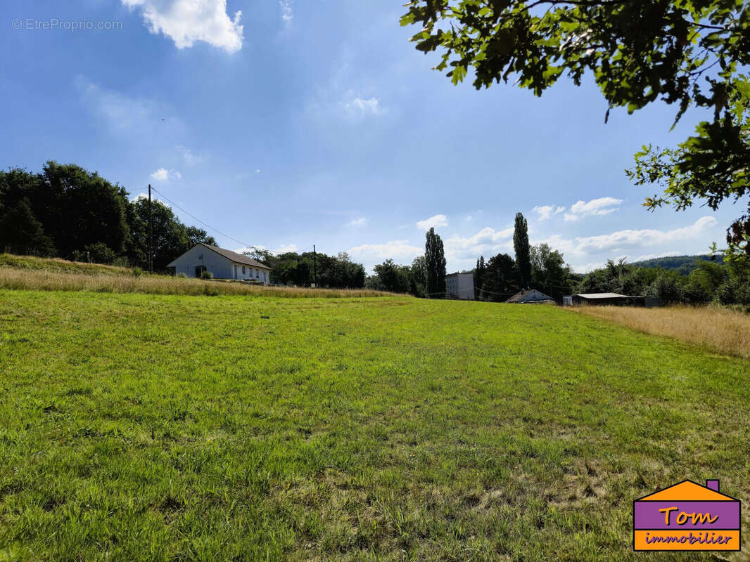 Terrain 3325 m² à Moyenmoutier  - photo 6