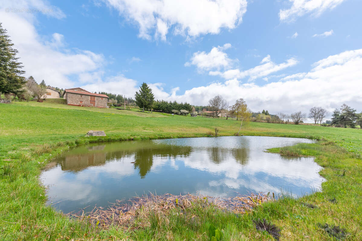 Maison à CHAMBON-SUR-DOLORE