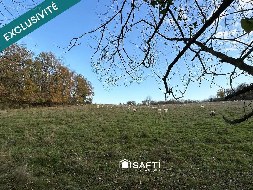 Photo 4 - Maison à MONTOIRE-SUR-LE-LOIR