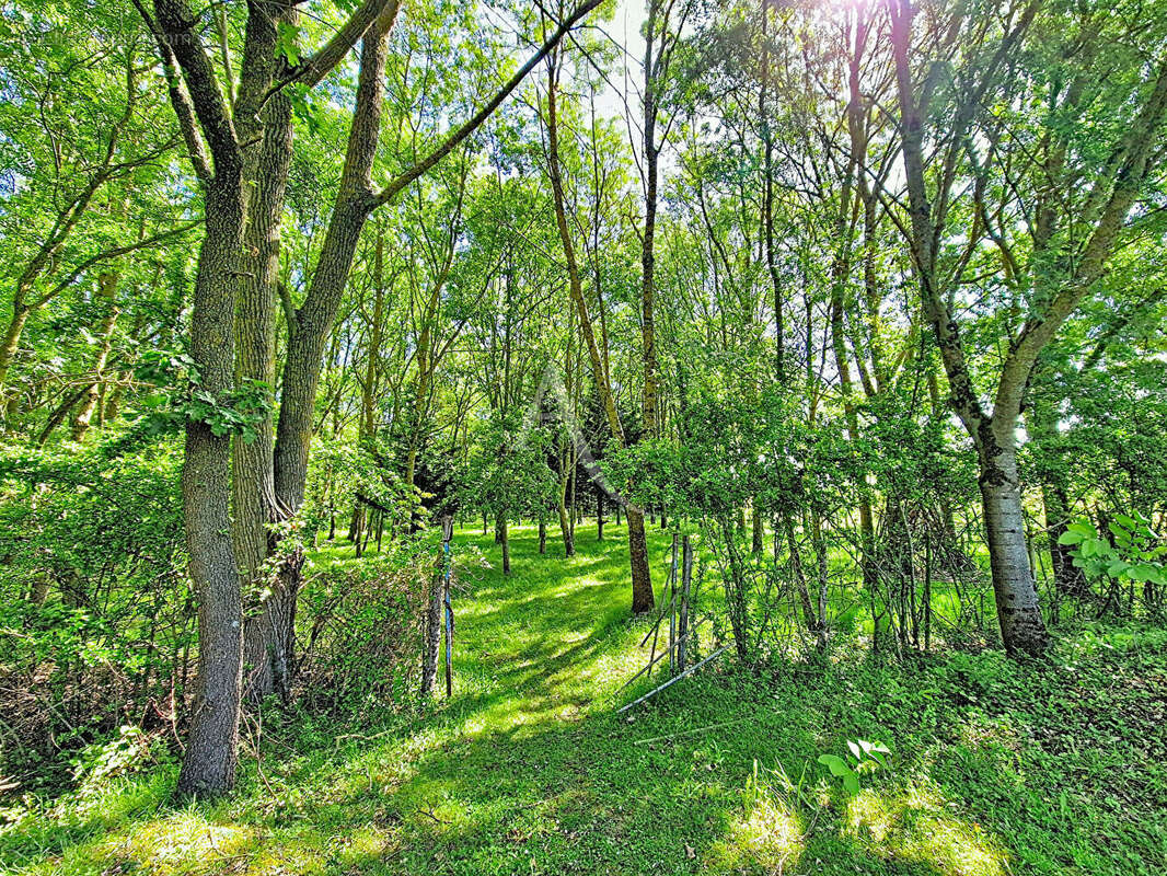 Terrain à CHAVAGNES