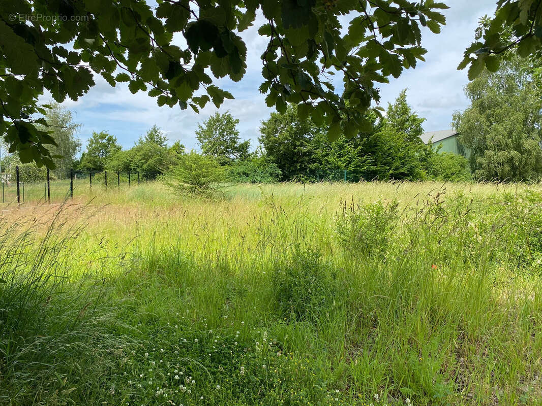 Terrain constructible de 788m2 - photo 8