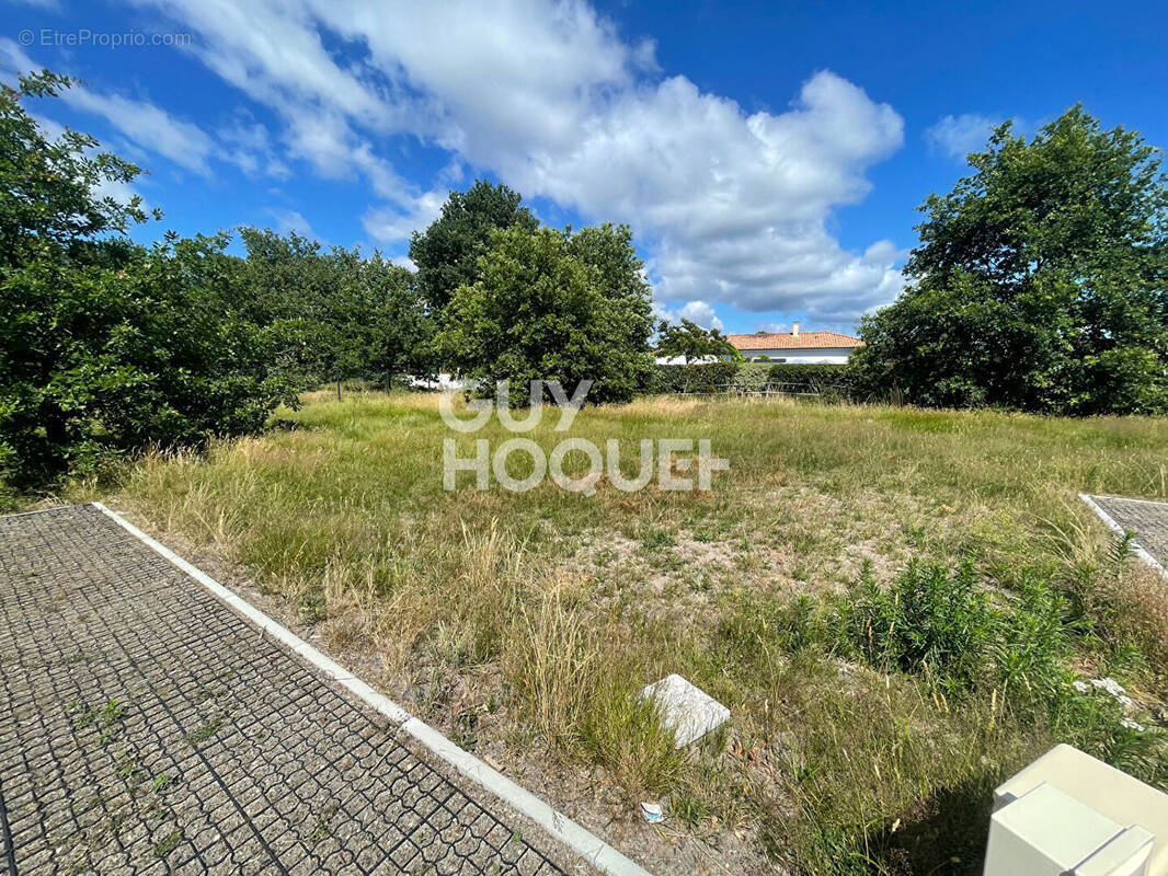 Terrain à PARENTIS-EN-BORN