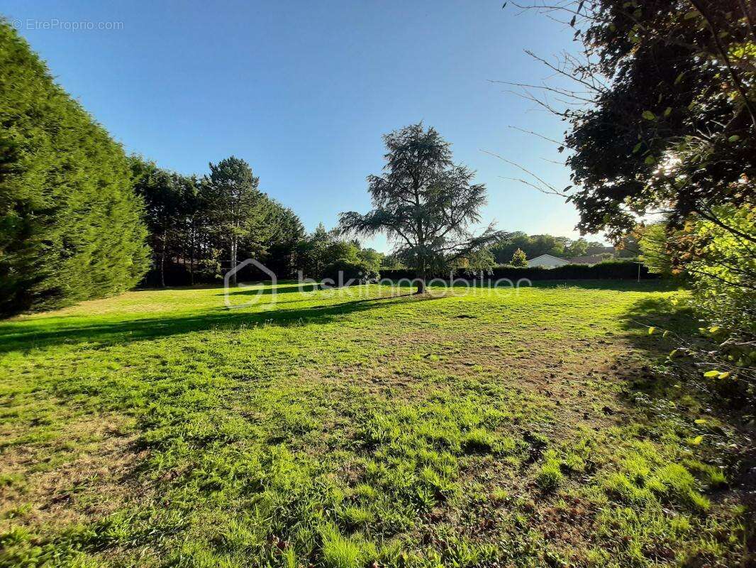 Terrain à COGNAC-LA-FORET