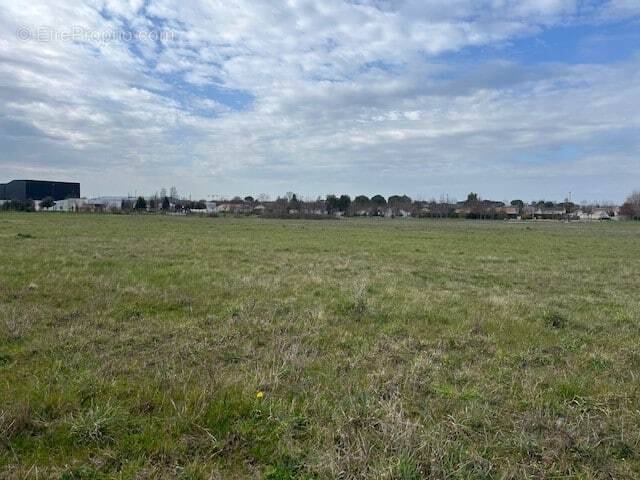 Terrain à CHATEAUBERNARD