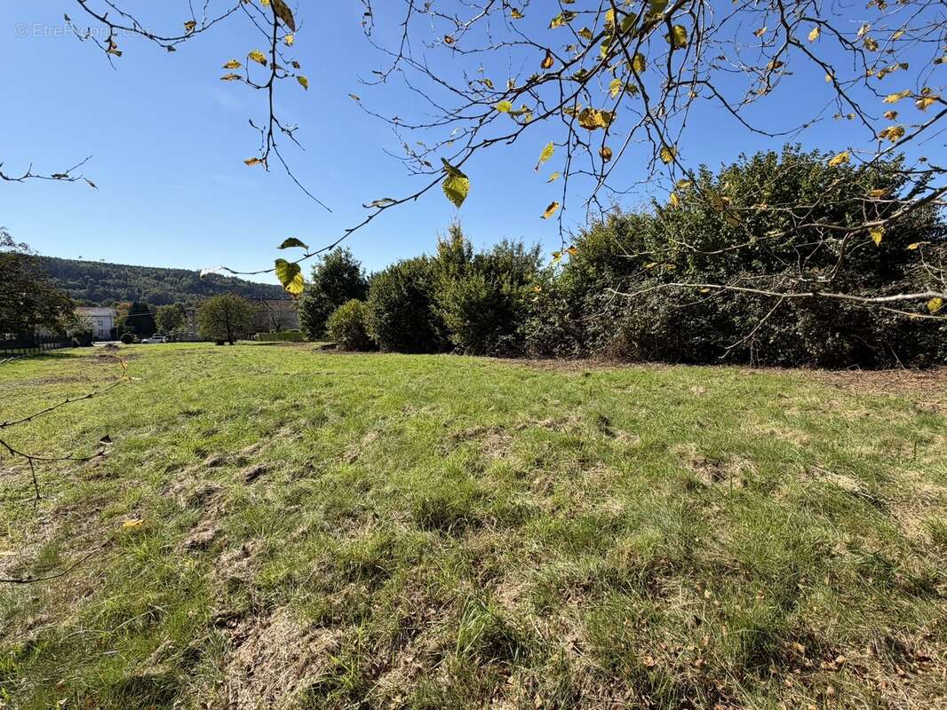 Terrain à BERTRICHAMPS