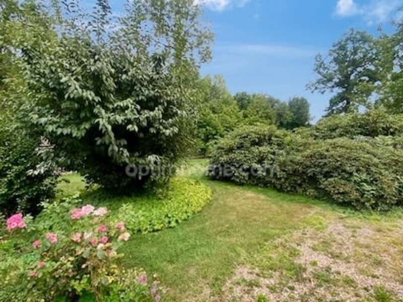 Maison à PONT-L&#039;EVEQUE