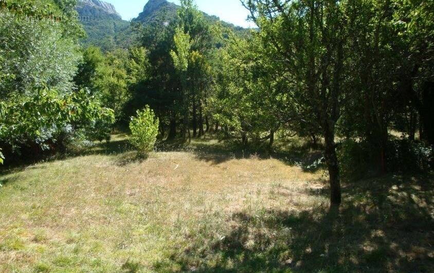 Terrain à PLAN-D'AUPS-SAINTE-BAUME