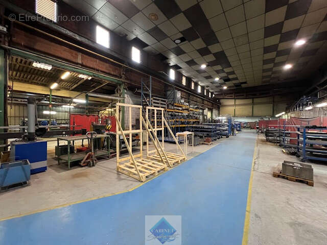 LOCAUX PRO de 5000m2 sur parcelle de 9000m2 - photo 11