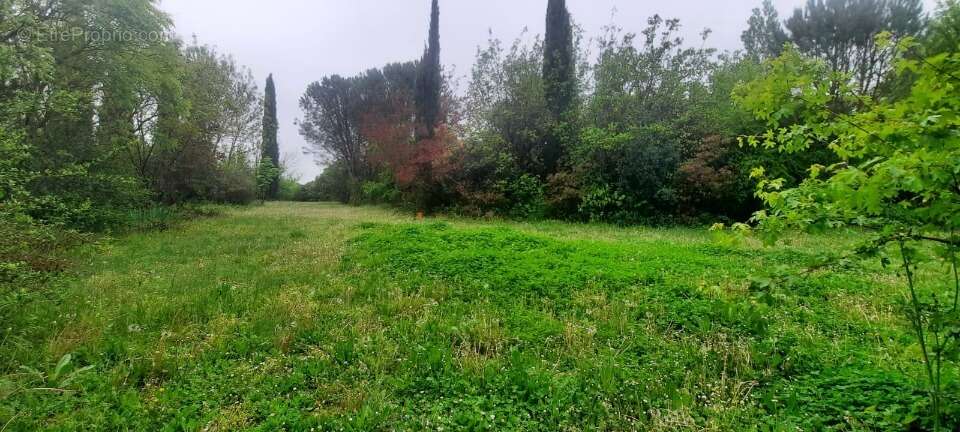 Terrain à TREBONS-SUR-LA-GRASSE