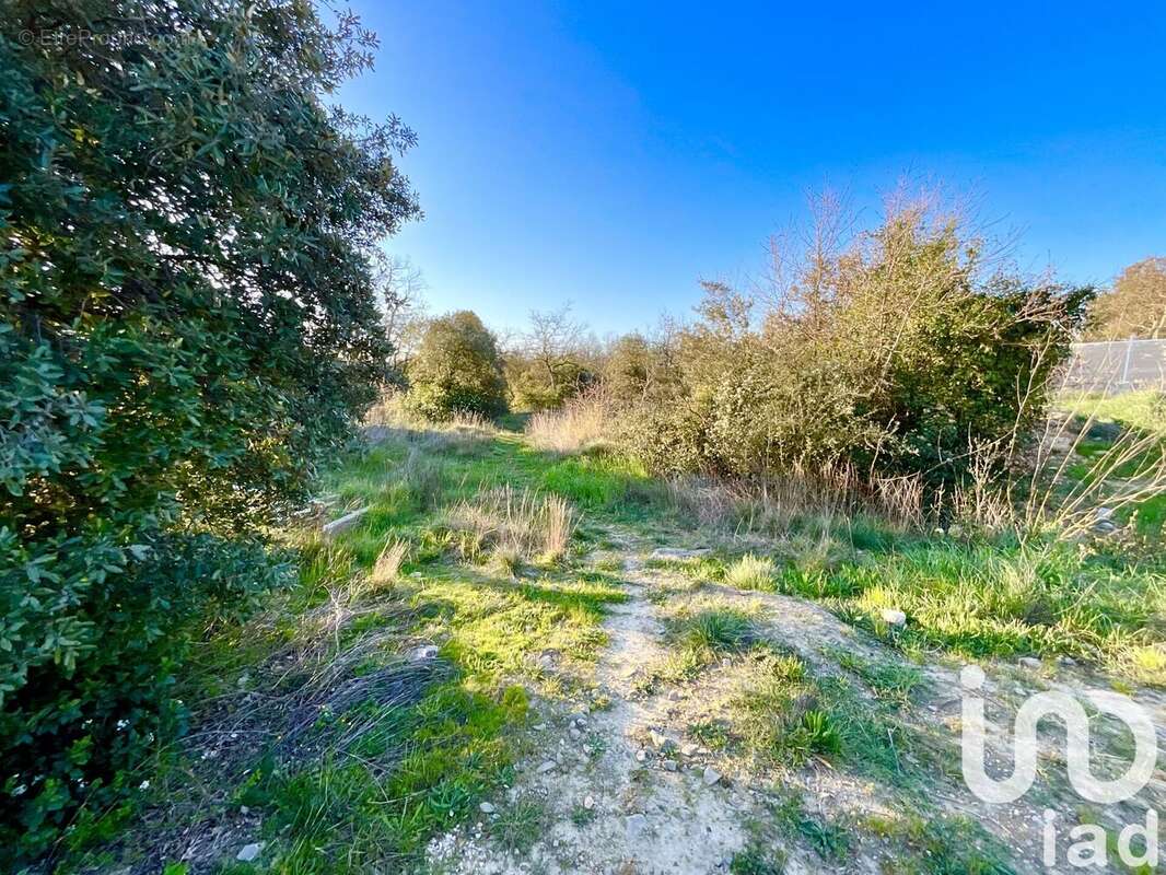 Photo 4 - Terrain à DEAUX