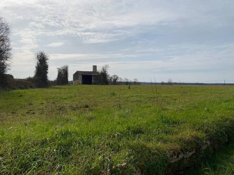 Terrain à PLASSAY