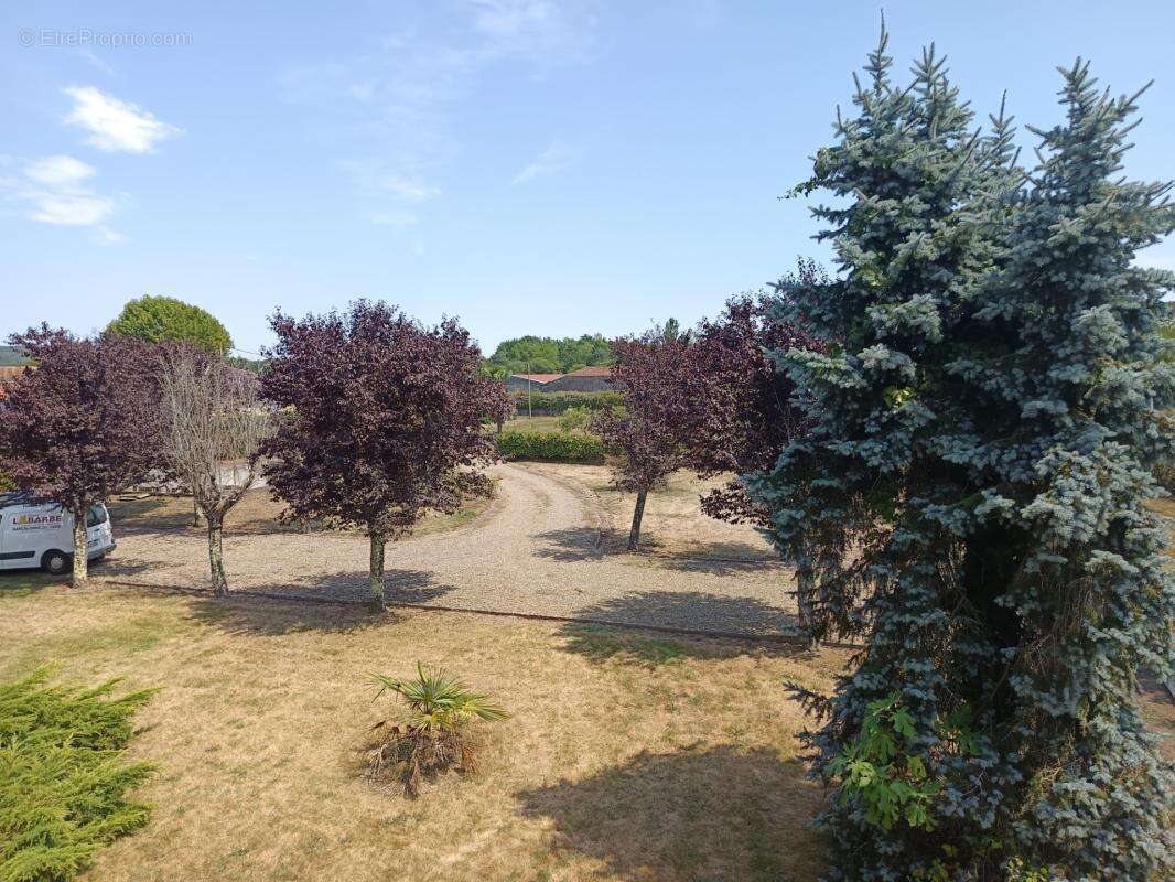 EXCLUSIVITÉ – Superbe Bâtisse Gasconne du XIXᵉ siècle (260 m²) – Parc de 4 500 m² - photo 4