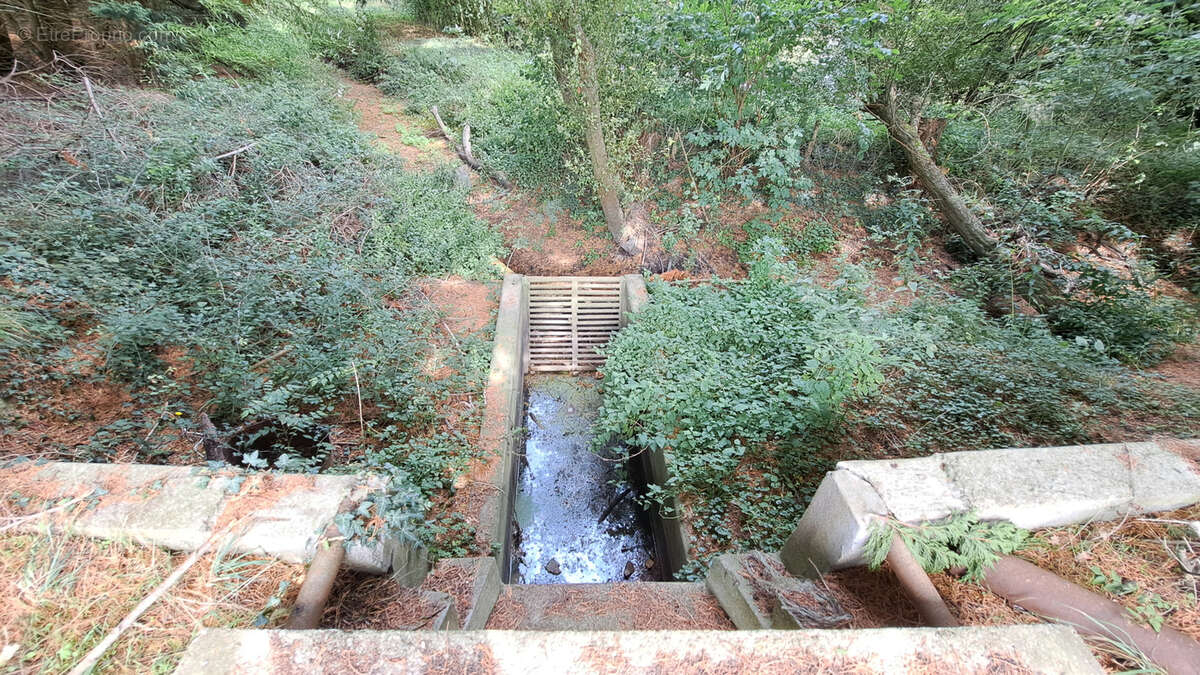 Terrain à AMAILLOUX