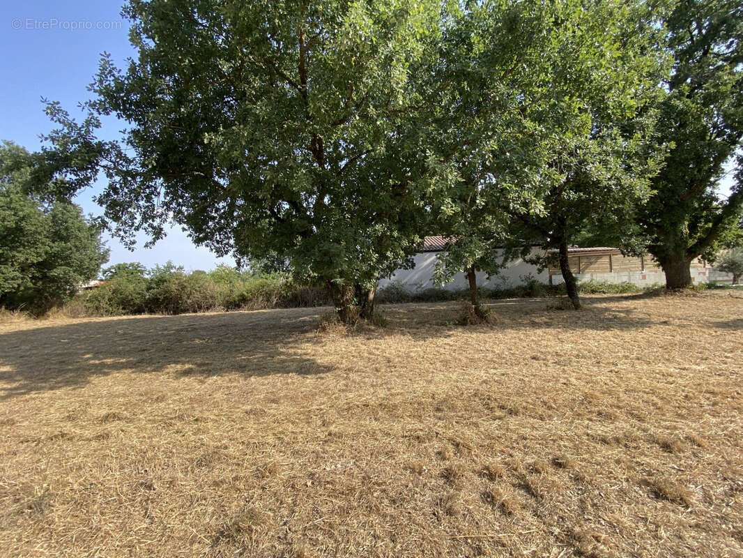 Terrain constructible à vendre   Larra (31)   1 066 m2 - photo 5