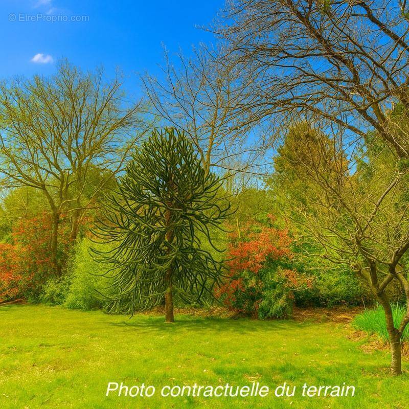 Terrain à LA TESTE-DE-BUCH