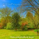 Terrain à LA TESTE-DE-BUCH