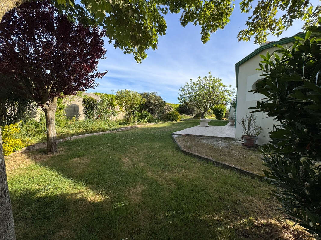 Maison à ANGOULINS