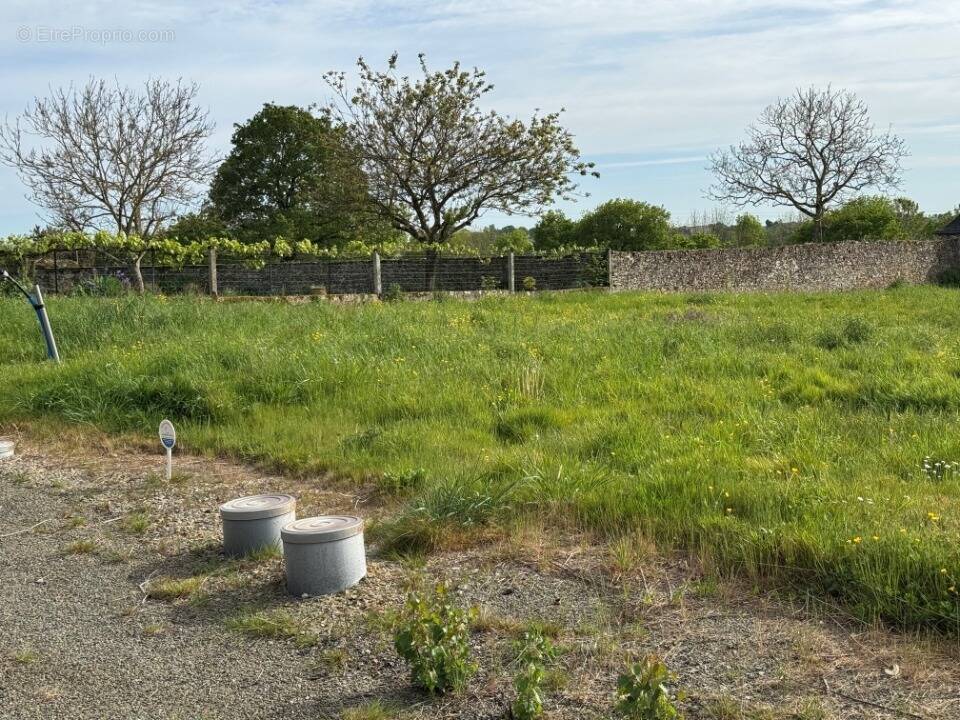 Terrain à SAINT-SULPICE