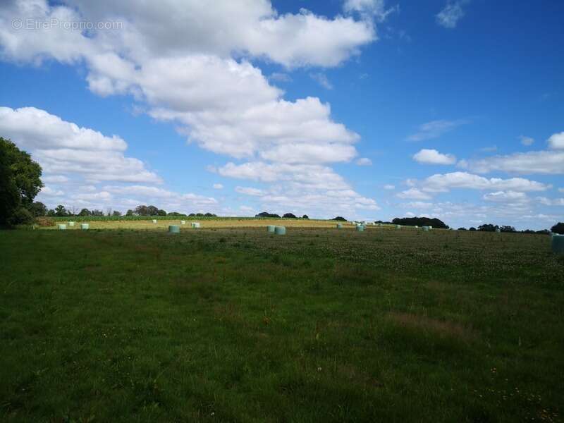 domaine agricole de 70 hectares d’un seul tenant avec bâtiment agricole et hangar - photo 6