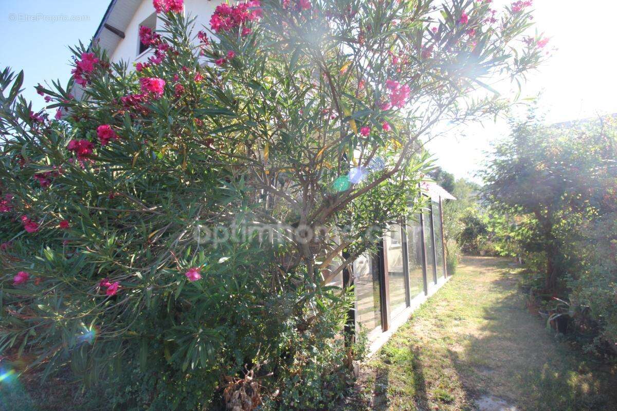 Maison à vendre 6 pièces BAGNERES DE BIGORRE (65) - photo 11